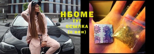 PSILOCYBIN Алзамай