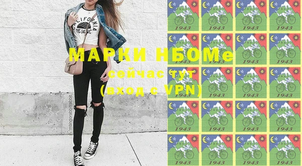 PSILOCYBIN Алзамай